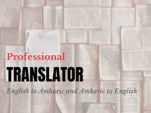 Professional Translator